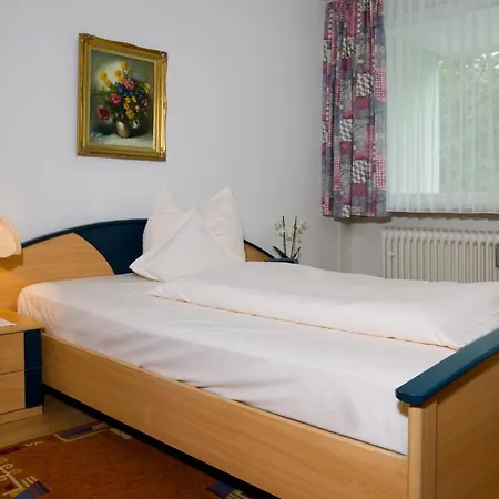 Hotel Zentral-hotel Bad Fussing
