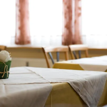 Hotel Zentral-hotel Bad Füssing