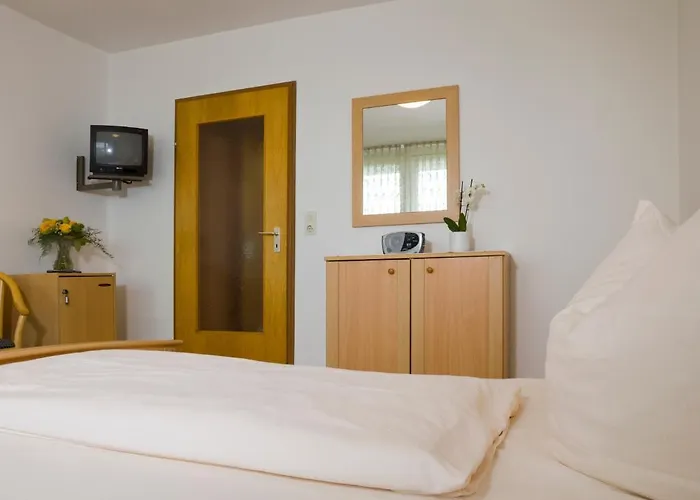 فندق Zentral-hotel 3*